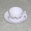 Austrian china cup & saucer set