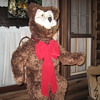 Circus bear