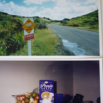 SIGNS OF THE CARIBES