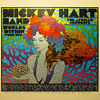 Chuck Sperry poster for Mickey Hart Band