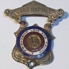 Vintage/Antique Lady Naptali Pin