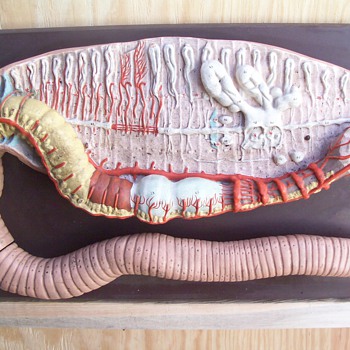 Giant Worm.