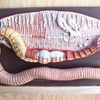 Giant Worm.