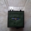 Vintage Stewardess Wings