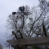 rooster weather vane