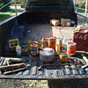 down in the dump 