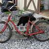 The smallest Schwinn I have ever seen...
