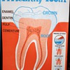 Large Dental Hygiene Posters - Mid-century - 60s-70s?