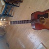Guild D35 SD Serial no. 59033 