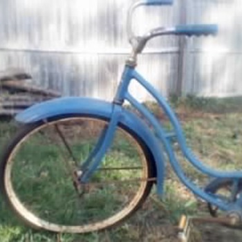 schwinn excelsior