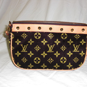 Louis Vuitton Purse....not canvas
