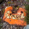 signs 