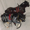 Horses how old?