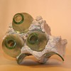 Section of wall from Grandma Prisbrey's Bottle Village