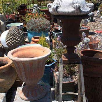 Displaying my finds in my native plant nursery...
