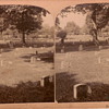 Arlington Cemetery Stereoview