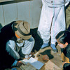 More from S.Korea 1950s
