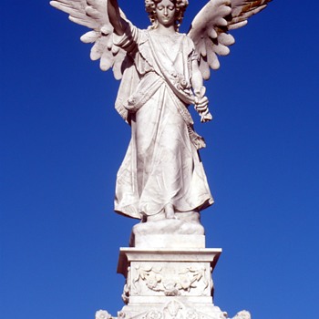 Angels Among Us - Photographs