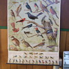 1915 Arm & Hammer Bird Chart and trading cards