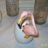 Darn Flamingos keep hatchin around here!