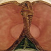 Majolica Vase Vintage ?