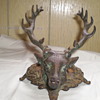 Male Deer Buck