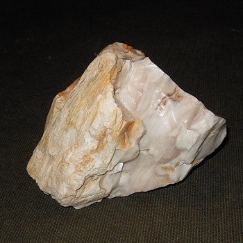 Opalized Petrified Wood 6 Click on the Little Pictures - Fine Jewelry