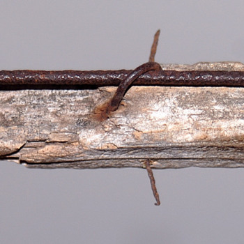 Barbed Wood Rail - Tools and Hardware