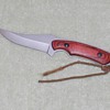 Fixed Blade Hunters Knife