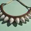 Bone or tooth item made into a necklace