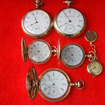My Collection of Elgin's 