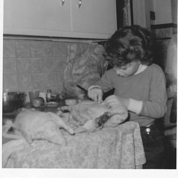 Life on a Farm 1950's 60's  - Photographs