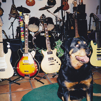 PRS Rocks! 