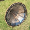 "Morning Glory" Edison Tin Horn