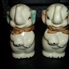 Identification of Elephant Salt and Pepper Shakers