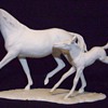 Kaiser mare and foal.