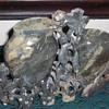 Soapstone vase