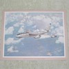 Lockheed Stratojet Airplane Print