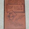 Lost in the Canon