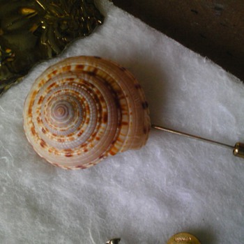 miriam haskell seashell pin