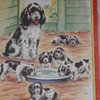 FARM ANIMALS PICTURES Booklet from the 1940's