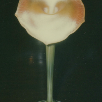 QUEZAL ART GLASS JACK-IN-THE-PULPIT FLOWER FORM VASE, circa 1905