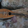 Can anyone tell us about this mandolin?