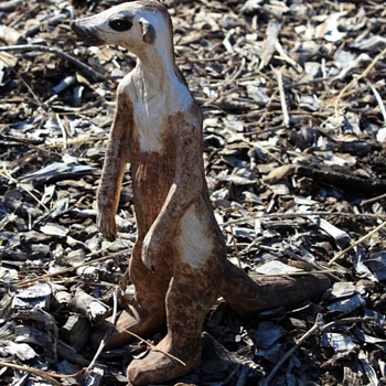 Meerkats in the Garden!
