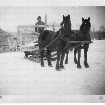 Winter work 1947 - Photographs