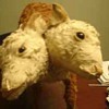 My Double Headed Calf....Bipolar Betty