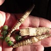 Bark Beads Indian??? Help
