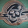 special forces patch