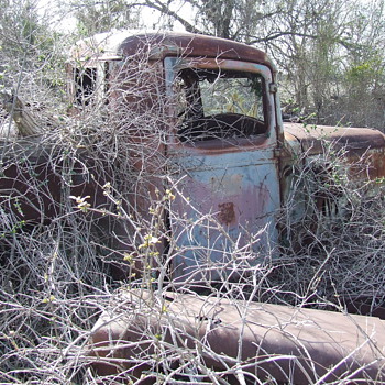 More Stuff From Behind The Old House
