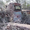 More Stuff From Behind The Old House